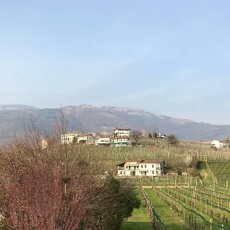 Apartament Ricca Vigna