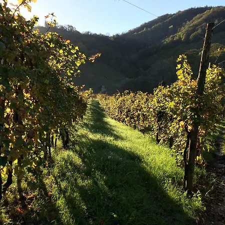 Apartament Ricca Vigna